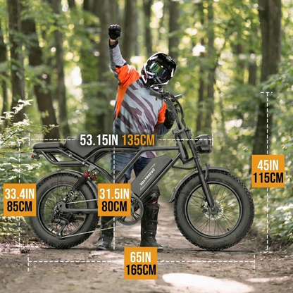 VOLTVOGUE Electric Bike